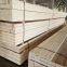 poplar LVL for door core for south korea market