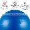 Manufacturer Pvc 55Cm Yoga Exercise Ball,Fitness Ball Yoga