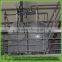 15 years experiences good quality wheat starch processing line/wheat starch plant