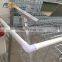 High Quality layer egg chicken cage for sale in philippines