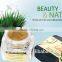 Professional permanent makeup best paste pigment for tattoo
