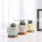 2021 New High Quality Geometric Design Ceramic Succulent Plant Pots Nordic Plant Indoor Pots