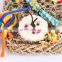 Popular Hanging Wholesale Pet Wood Foraging Accessories Manufacture Parrot Bird Toys