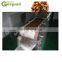 raisin production line plant processing line making machine for sale