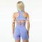 Wholesale Fashion Sexy Bra Scrunch Butt Lift Shorts Leggings Seamless 2/3 Piece Gym Yoga Suit Set For Women Workout Fitness Wear