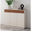 Space Saving Home Simple Shoe Rack Multi-layer Door Storage Shoe Cabinet Furniture