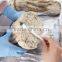 Frozen precooked bonito loins