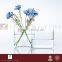 CASAMOTION Flat Clear Hand Blown Art Glass Vase With No MOQ and Gift Boxed, Small