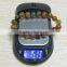 100g/200g/500g Capacity 0.1g/0.01g Readability Digital Mouse Jewelry Scale