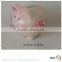 personalized ceramic banks to paint ceramic piggy bank for sale                        
                                                Quality Choice