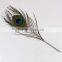Craft Real Peacock Feather Pen For Handmade Gift