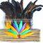 Rooster Tail Feather Headpiece Carnival For Halloween Cosplay