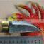 2015 Hot Knife Cutter , Fixed Blade Knife of Hunting Knife FLDL-WG0057