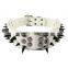 Black Spikes Studded White Large Leather Collar Leash Harness Set