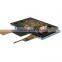 Hight quality HD 4.3'' TFT module LCD Touch display panel with CTP &PCAP