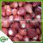 2015 Crop Iqf Strawberries Honey