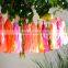 Colored Party Decorations Tissue Paper Tassel Garland Wholesale Paper Pom Poms
