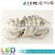CE Approved bright led strip lighting 12v 24v led strip light