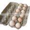 Pulp Mouled Fiber- Paper Egg Carton Making Machine