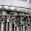 Cost effective Automatic PET Bottle Carbonated Water Filling Machine