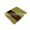 experienced die cut booklet printing, customized printing brochure