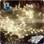 Outdoor 30 M 300 LED Blue Christmas lighting LED fairy light,led fairy lights
