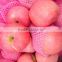 Supply fresh Qin guan apple with good quality for sale