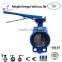 Size DN25~DN1400 Cast Iron Body Single Stem water media control Wafer Butterfly Valve