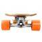 Handle Skateboard Eletric Skateboard Fish Like Skateboard Worldwide Distributor