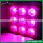 New adjustable led grow light full spectrum diy cob led grow light kit 1800w led grow light grow green house