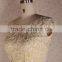 Applique cap sleeve sexy long gown fishtail prom dress lastest design evening gown