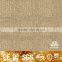 100 Polyester Fabric Antifungus Moistureproof Anti-Slip Tufted New Carpet