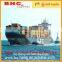  international express Amazon/FBA freight forwarder from Shenzhen Shanghai to USA--whatsapp: +86 17817958569