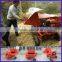 Gasoline driven multi purpose grain thresher for sale