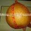 2015 new crop fresh honey pomelo with good taste