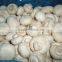 IQF mushrooms