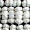 Fresh white garlic/Fresh Garlic /Jinxiang Garlic