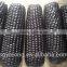 Strong growth and anti virus disease black sweet waxy maize corn Black F1
