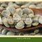 Save 20% raw arabica coffee bean bulk green coffee beans unroasted coffee beans