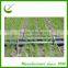 CYLR Plastic Drinking Water PE Layflat Hose Other Watering&Irrigation Type Water Transport Plastic Tube