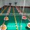 automatic full set of poultry farming equipment with wholesale