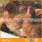 Chicken Coop Hexagonal Wire Mesh For Sale