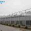 zigzag polycarbonate PC sheet greenhouse for fishing and vegetables