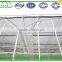 Multi-Span Agricultural Commercial Greenhouses Type and PC Sheet Cover Material Tunnel with Polycarbonate