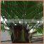 fiberglass custom coconut palm tree make for export sale