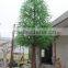 Landscape artificial scotch pine tree for geological museum decoration