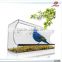 2017 Eco-friendly Factory wholesale custom acrylic window bird feeder, transparent hanging wild bird feeder
