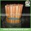 Painted long handle soft brush/cleaning brush with telescopic handle/car wash brush with long handle