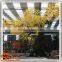 Realistic silk artificial cherry blossom big trees artificial trees cherry blossoms for wedding decoration