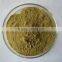 Andrographis Paniculata Extract